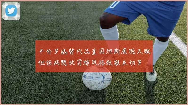 平价罗威替代品奎因坦斯展现天赋但伤病隐忧罚球风格致敬米切罗